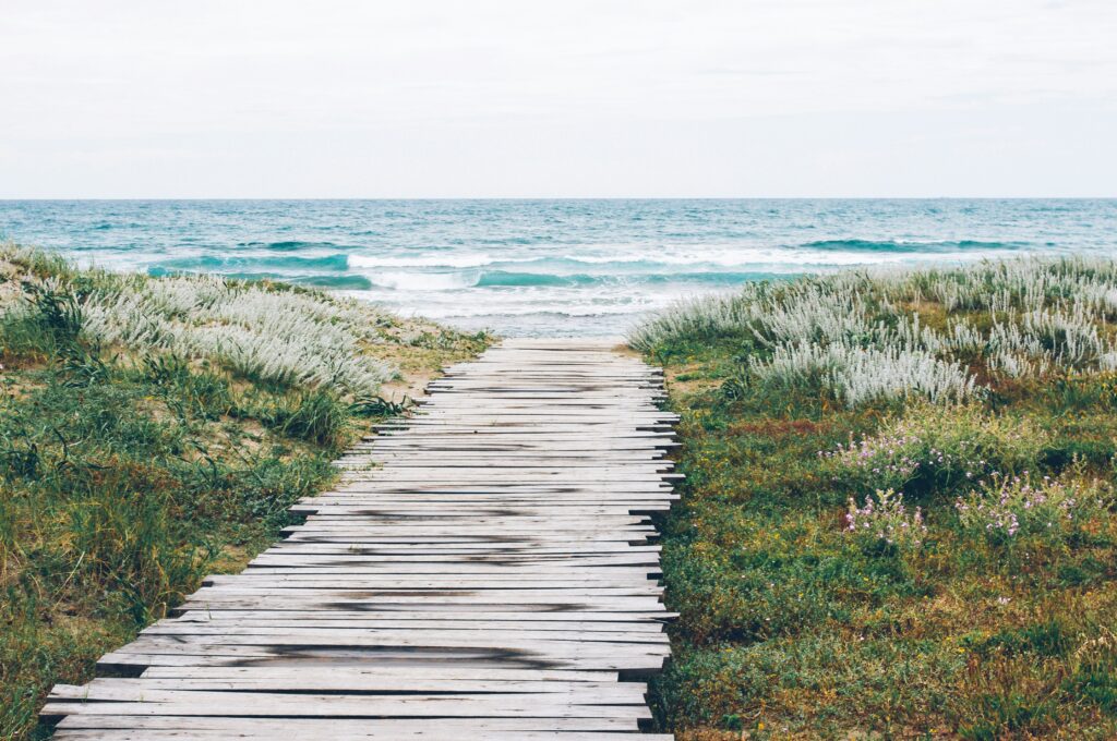 Wooden boardwalk between grass and sand hills leading to blue ocean