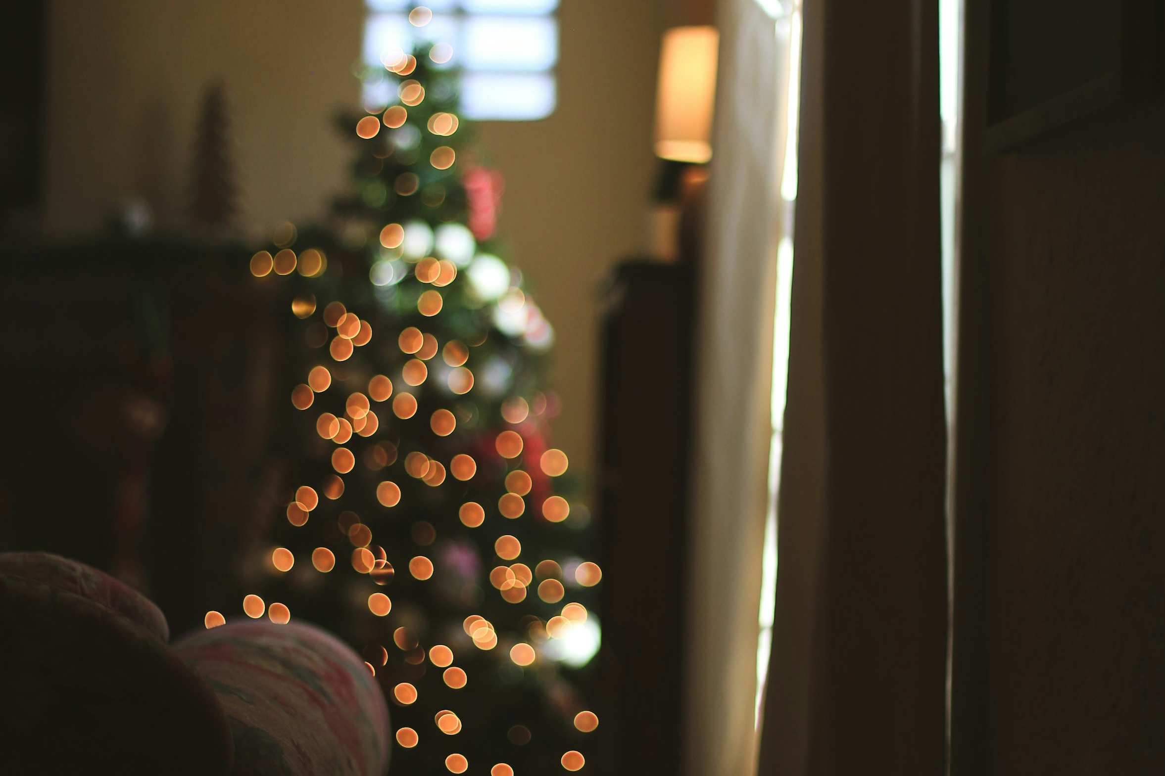 Blurred Christmas tree in back of living room under a window with arm of couch in focus
