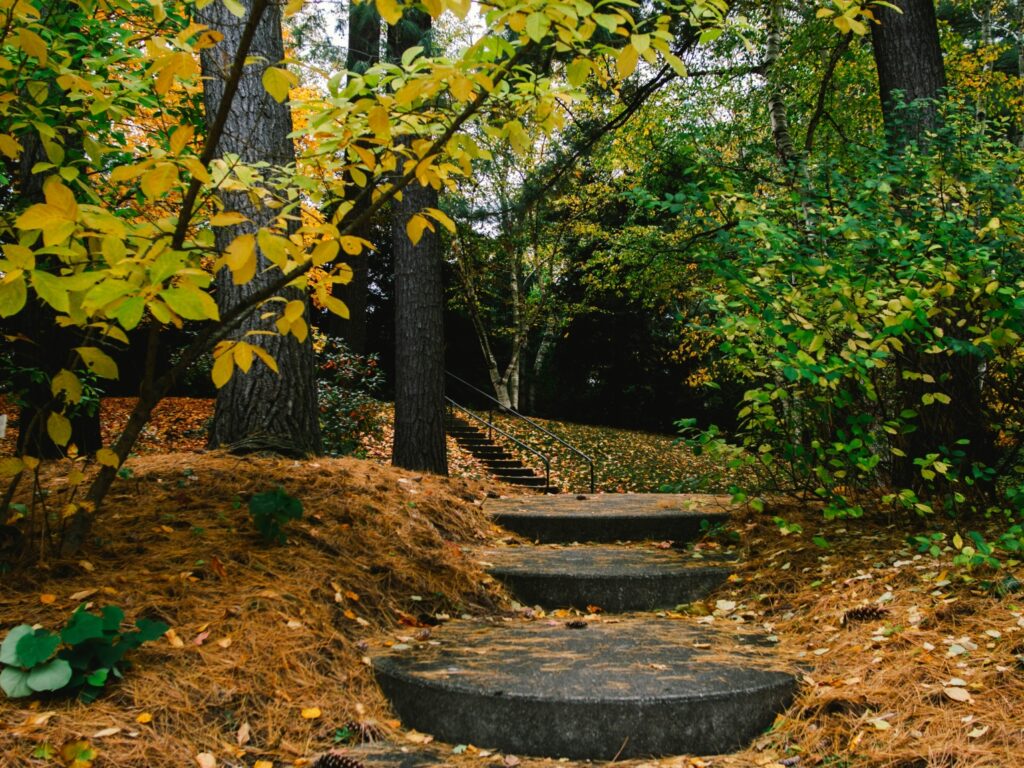 Large, round circular stone steps leading up a pathway into a wooded area surrounded by fall colored leaves and fallen pine needles