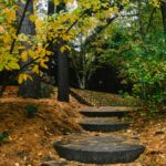 Large, round circular stone steps leading up a pathway into a wooded area surrounded by fall colored leaves and fallen pine needles