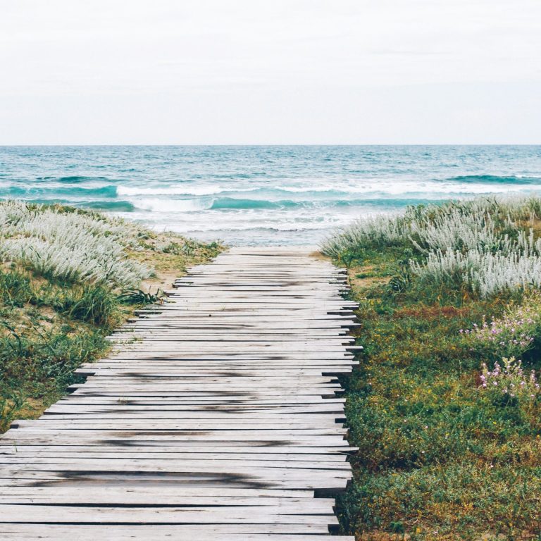 Wooden boardwalk between grass and sand hills leading to blue ocean